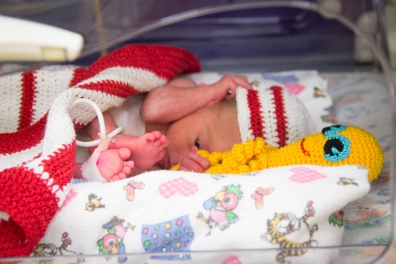 В ноябре в Краевом перинатальном центре родилось на 28 ребятишек больше, чем в октябре.